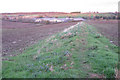 Former field boundary near Glebe Farm