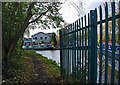 Bumble Hole Canal Arm