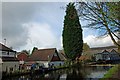 Bumble Hole Canal Arm