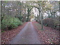 Driveway and bridleway to Fox Cottage