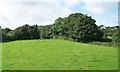 Pastureland below Slievebolea