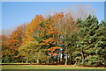 Autumnal colours near Roydon Hall