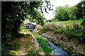 The Malago as it flows through Manor Woods Valley