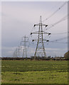 Pylons near Bielby
