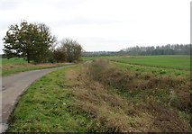 TM2998 : View south-east along Zig Zag Lane by Evelyn Simak