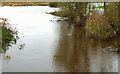 The Lagan in flood near Lisburn