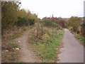 The Old Mineral Line Trail