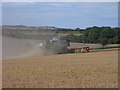 Harvest, Letcombe Regis