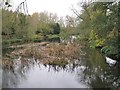 River Avon upstream from Saxon Mill