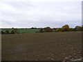TM2765 : View towards the A1120 Button's Hill by Geographer