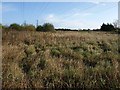 Open land by Topsham Road