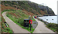 Two paths at Whitehead