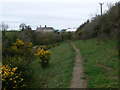 Footpath to Bron Fadog