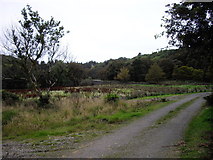 NR6636 : Main driveway to Glenbarr Abbey by PAUL FARMER