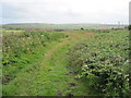 Farm track at Boslow