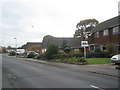 Looking southwards down an autumnal Beaufort Road