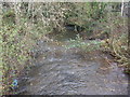 Malpas Brook, Bettws