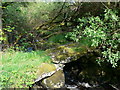 Old stone bridge over Afon Fwy