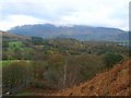 Above Hawes End