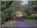 Old railway track, now a cyclepath