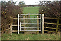 A gate and a plank bridge on a footpath west of Hunningham