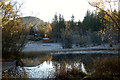 Lochan in Blackmuir Wood, Strathpeffer