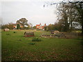 Free range chickens (and sheep) at The Sands