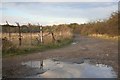 Puddles along a rough track