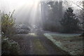 NT1634 : Freezing fog at Dawyck Gardens by Calum McRoberts