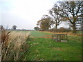 SJ7303 : Pheasant pen near Kemberton by Richard Law