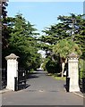 Cemetery gates and avenue, Queen