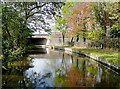 Staffordshire and Worcestershire Canal near Penkridge, Staffordshire