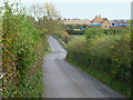 Lane near Muchelney Ham