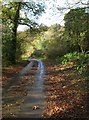 Lane at Bottle Hill