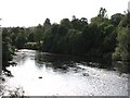 NZ0561 : The River Tyne upstream of Bywell Bridge by Mike Quinn