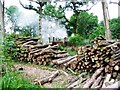 Charcoal Ovens near Warnham