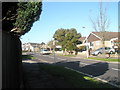 Looking northwest up Cherry Tree Avenue