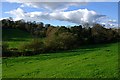 The Valley at Damerel