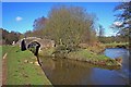 SJ9850 : Confluence of River Churnet and the Caldon Canal by Paul Buckingham