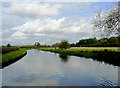 SJ9210 : Staffordshire and Worcestershire Canal near Gailey, Staffordshire by Roger  D Kidd