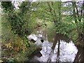 River Wey from Huntingford Bridge