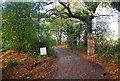 Track to Parkdale Farm, Powdermill Lane