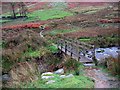 NY4418 : Footbridge crossing Fusedale Beck by Roger Smith