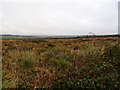 Woolley Moor facing roughly in the direction of the course of the river Torridge