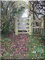 Footbridge over the River Mole near Horley Surrey