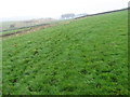 Footpath near Wibbersley Farm