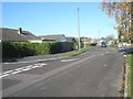 Approaching the junction of an autumnal Maple Tree Avenue and Laurel Road