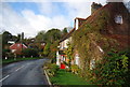 Cottage, Sandrock Hill, Crowhurst