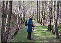 Dismantled railway track south of Little Port Hill, St Fillans