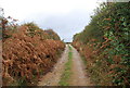 Track to Pebsham Farm Cottage